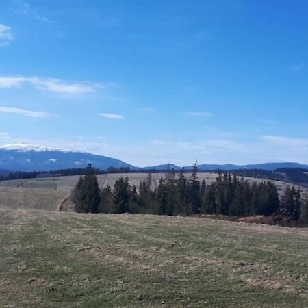 Przytulny Apartamentt Jablonka  Екстер'єр фото